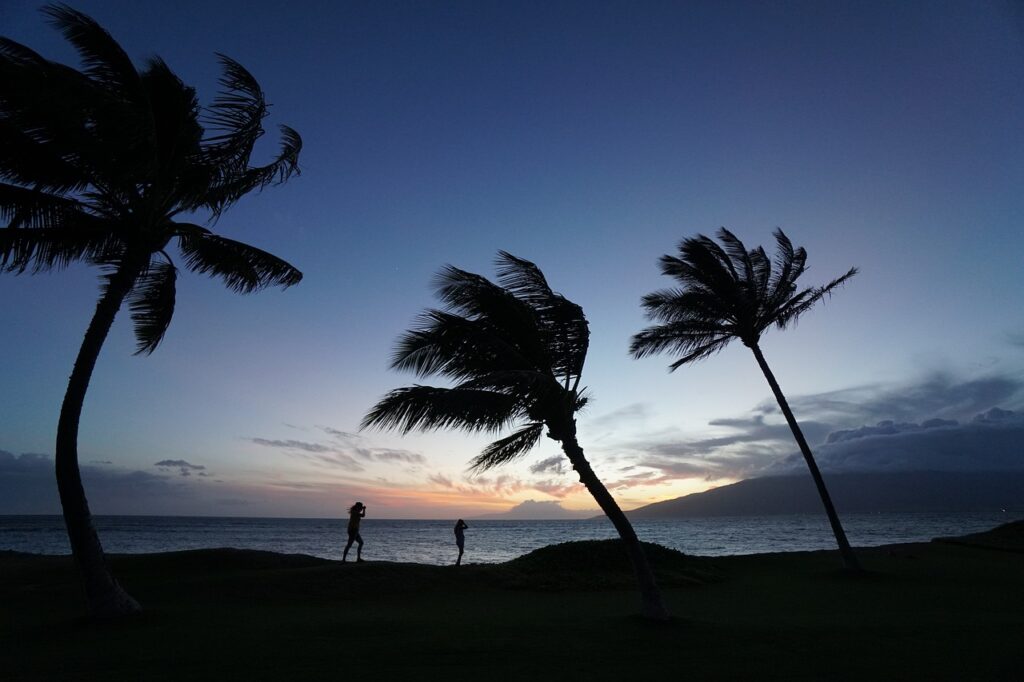 nature, landscape, silhouette