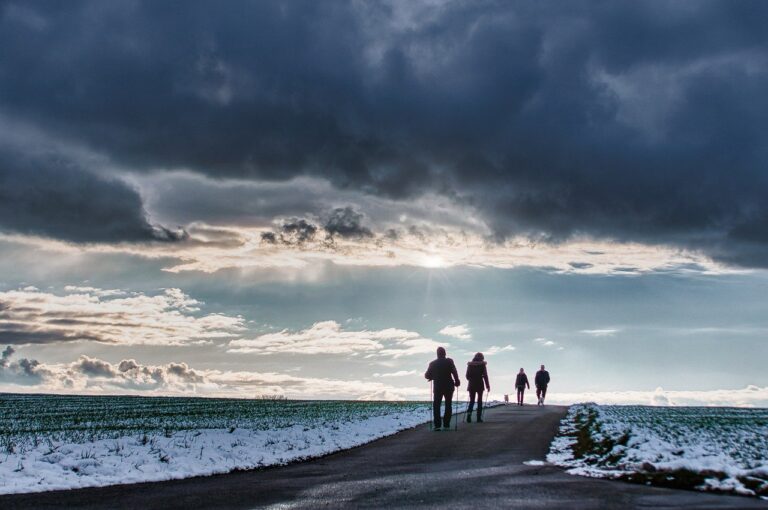 overcast, winter, cloudy day