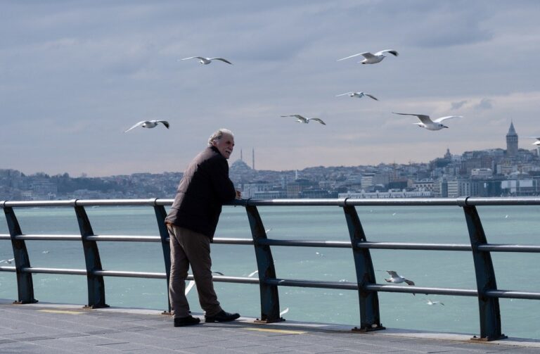 old man, sea, seagulls