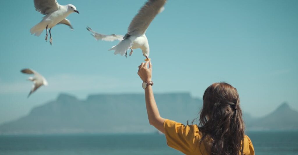 Woman and Seagulls in a Bay