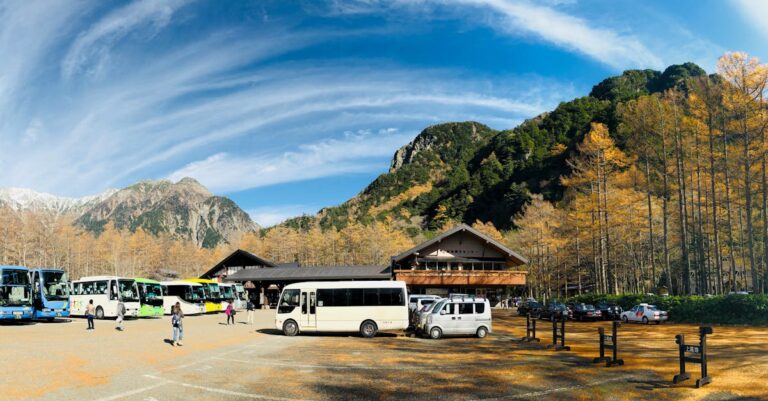 Group of People Near Vehicles