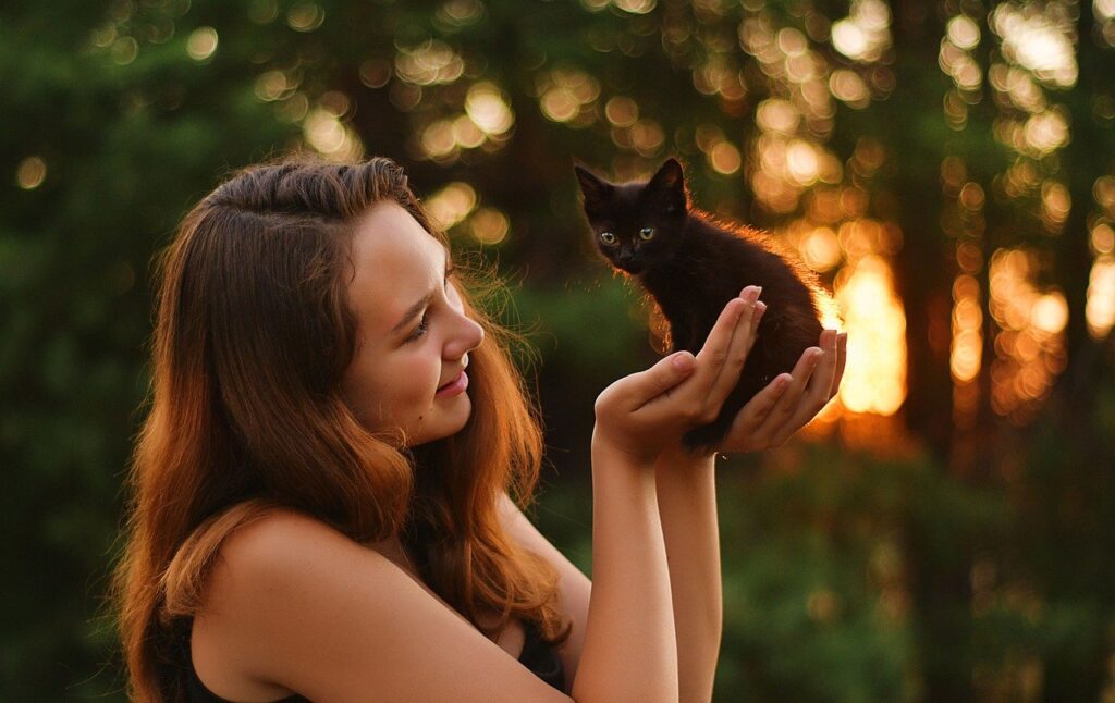 Airport Transfer with Pets 