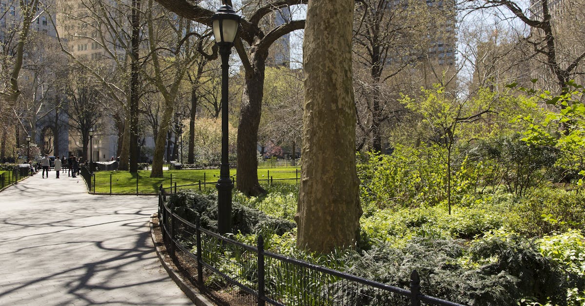 A sunny spring day in Central Park, New York City, showcasing lush greenery and skyscrapers.