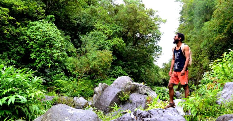 Photo of Man Standing on Rocks Near Trees