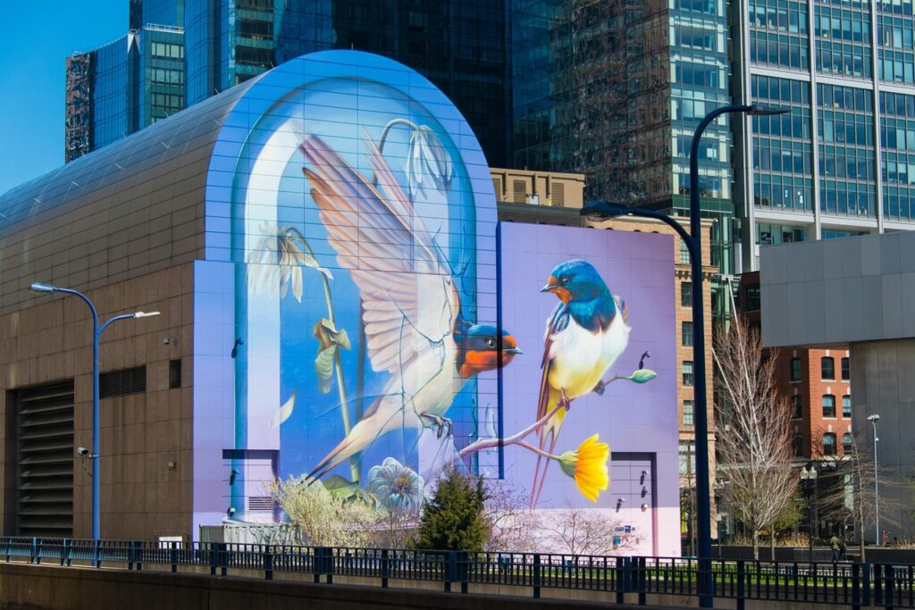 mural, building, city, boston, nature, painting, wall, birds, mohan, nannapaneni, usa, boston, boston, boston, boston, boston